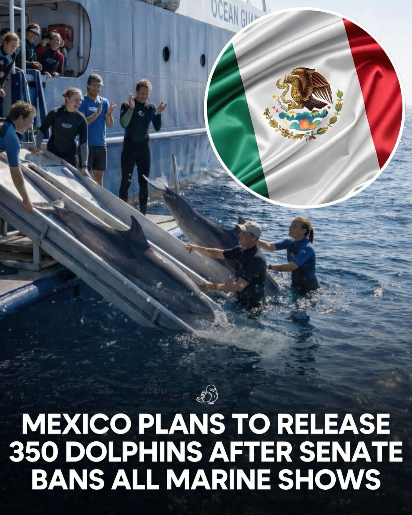 Mexico Bans Marine Shows and Plans to Release 350 Dolphins