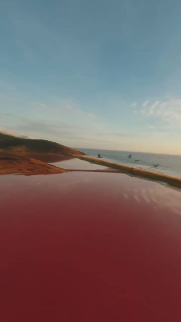 Explore Isla Margarita's Stunning Beaches and Vibrant Culture