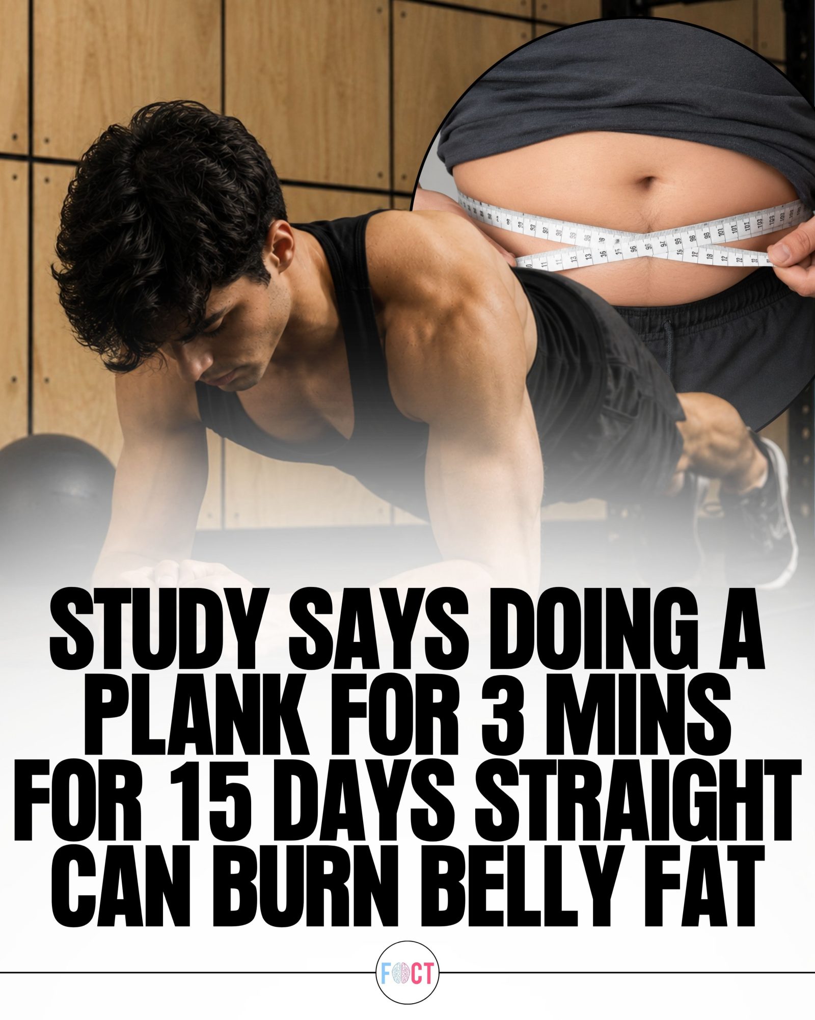 Use Planks to Burn Belly Fat