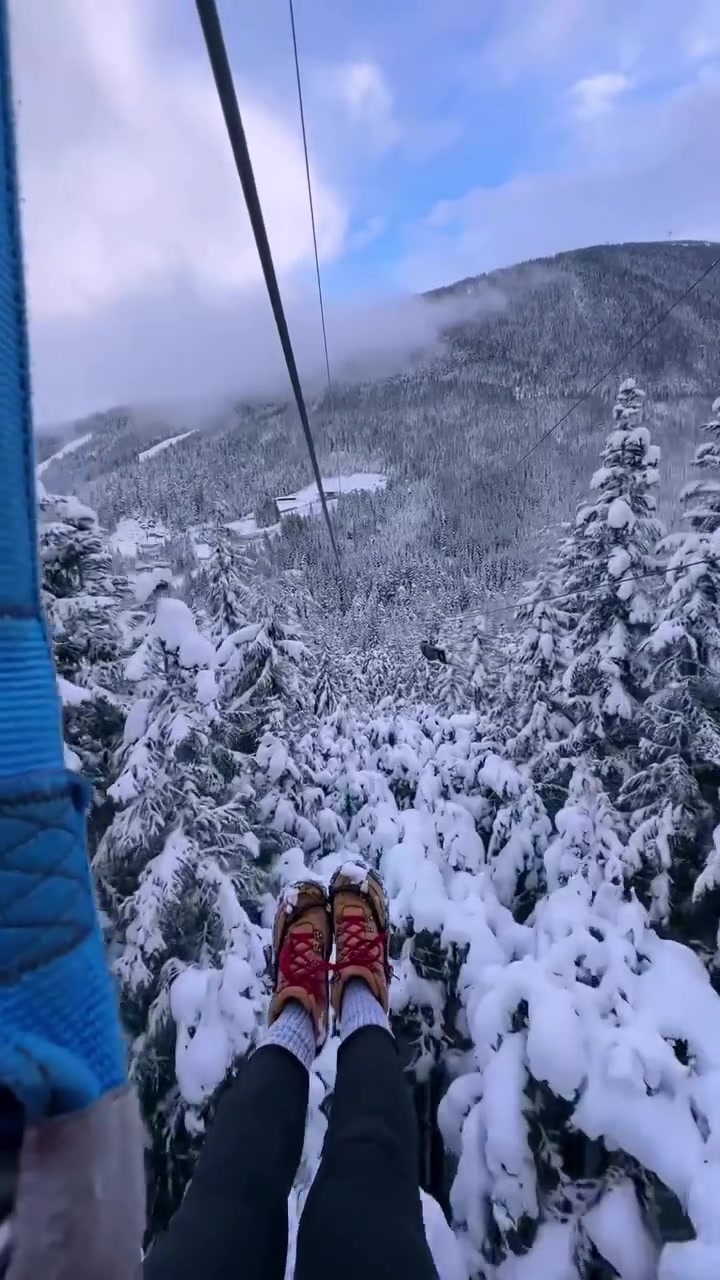 Winter Ziplining Through Snowy Forest