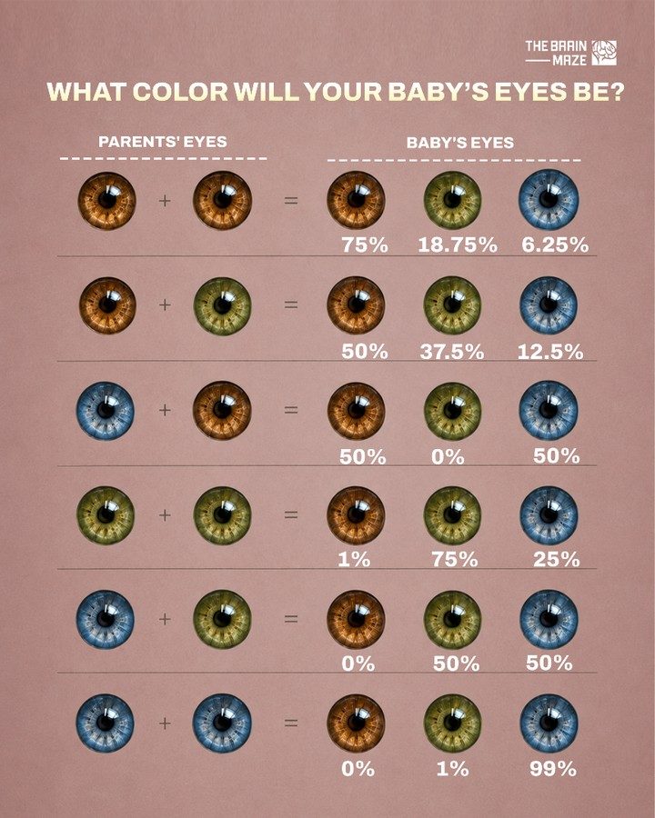 Understanding Baby Eye Color: A Genetic Guide