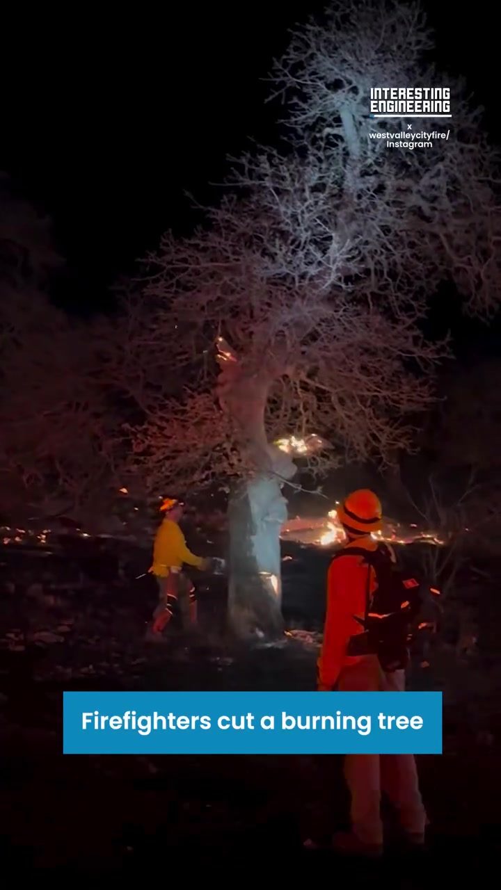 Firefighters Battle Nebraska Wildfires, Cut Burning Trees