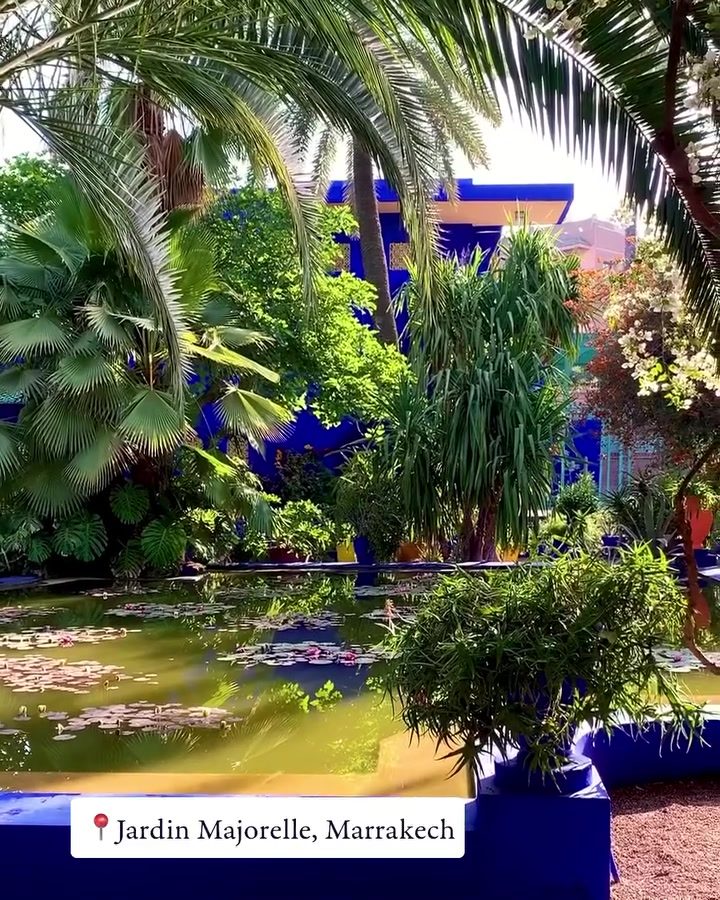 Exploring Jardin Majorelle: Marrakech's Iconic Blue Garden