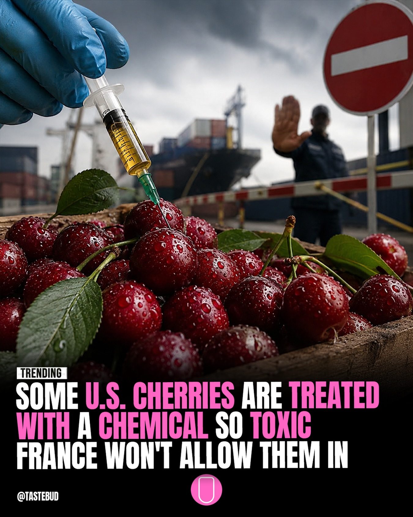 Why France Bans U.S. Cherries Due to Chemical Treatments