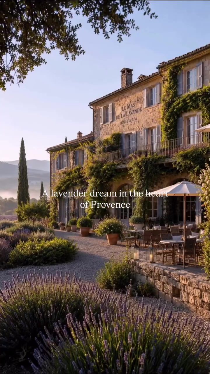 Exploring the Dreamy Lavender Fields of Provence
