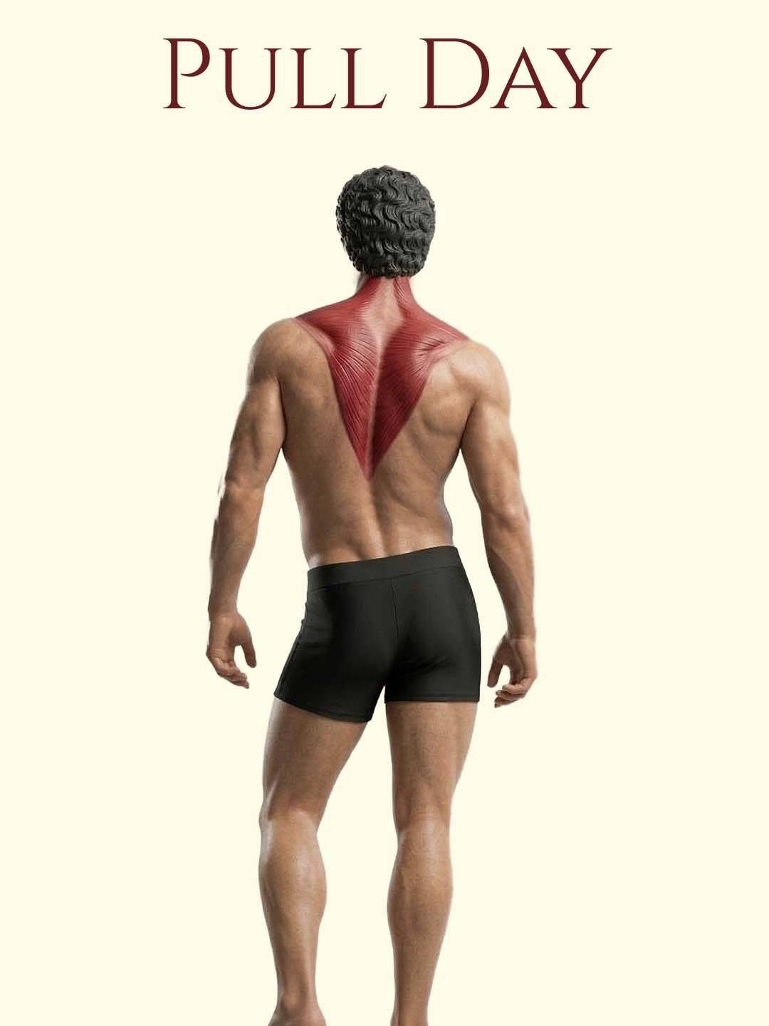 Ultimate Pull Day: Effective Exercises for a Strong Back and Arms