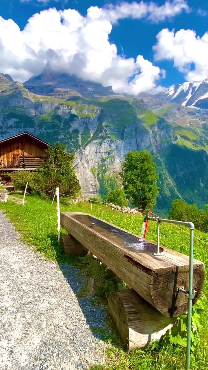 Swiss Alps: Majestic Mountains & Lush Greenery