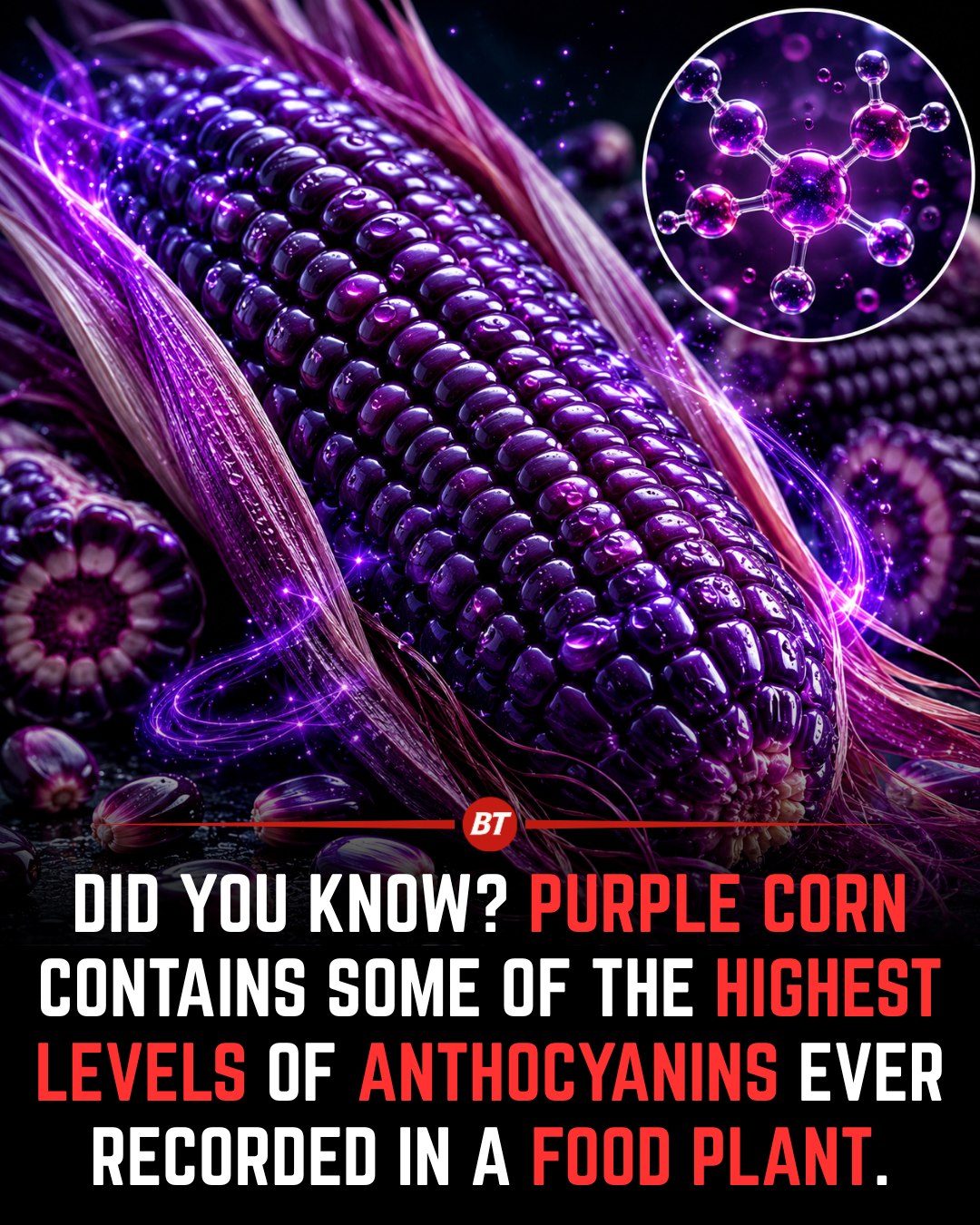 Purple Corn: The Antioxidant Powerhouse You Need to Know