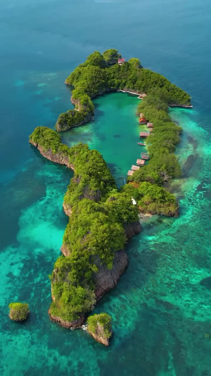 Tropical Island Paradise: Overwater Bungalows