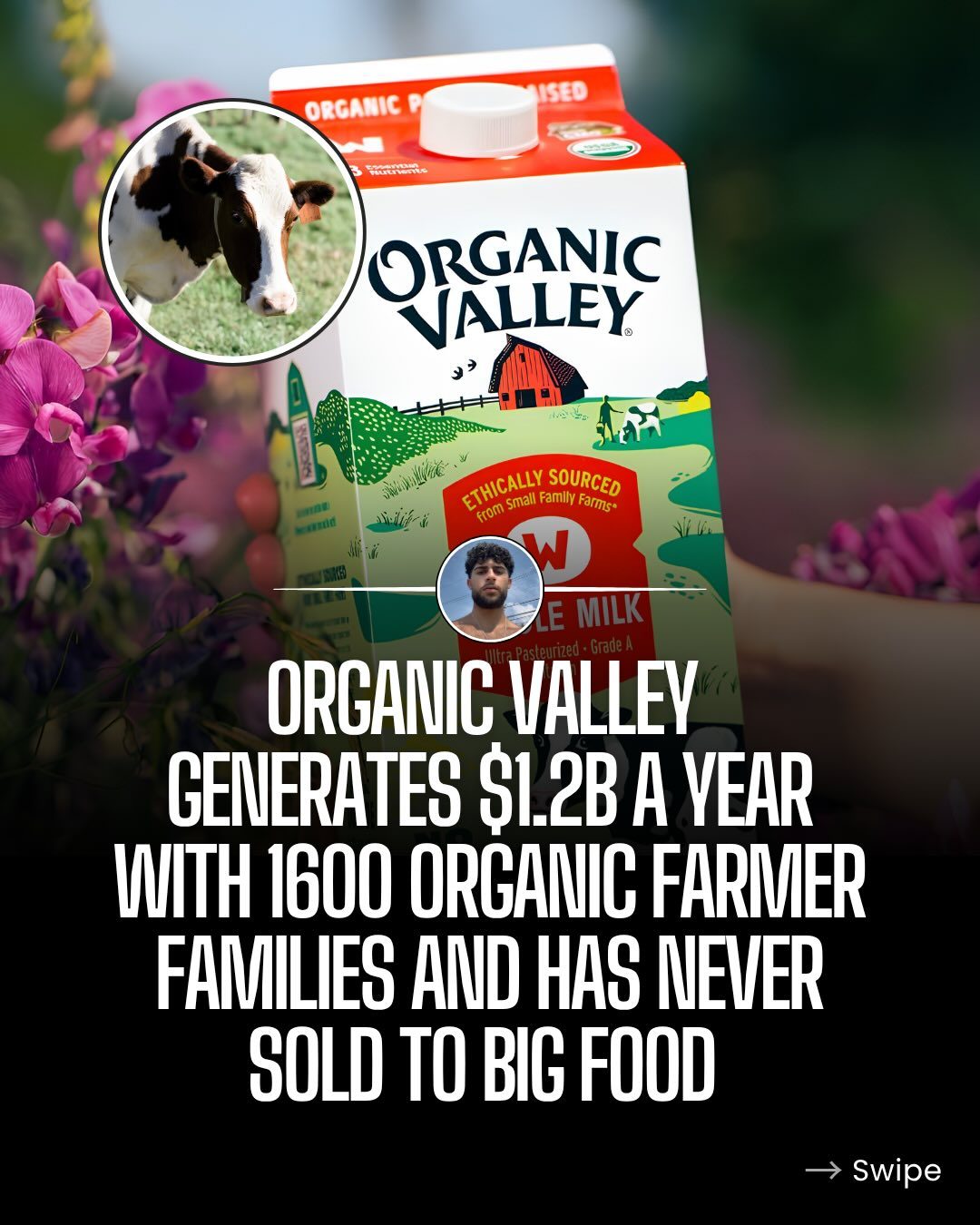 Organic Valley Milk: The Farmer-Owned Cooperative