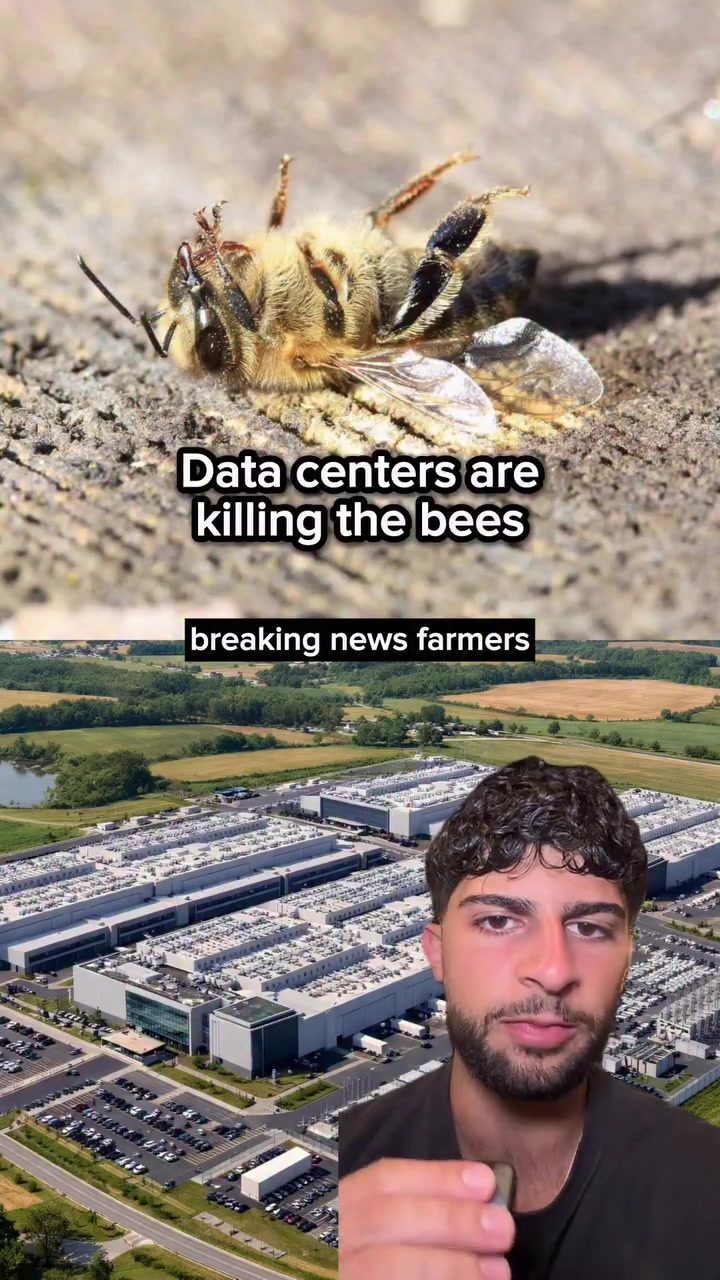 Data Centers Threatening Bee Populations: Farmers' Alarming Reports