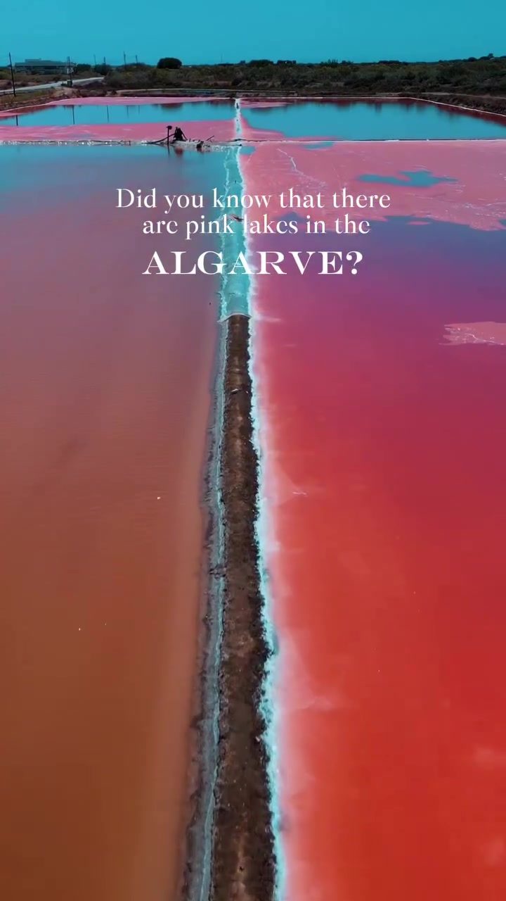 Discover the Vibrant Pink Salt Lakes of Algarve, Portugal