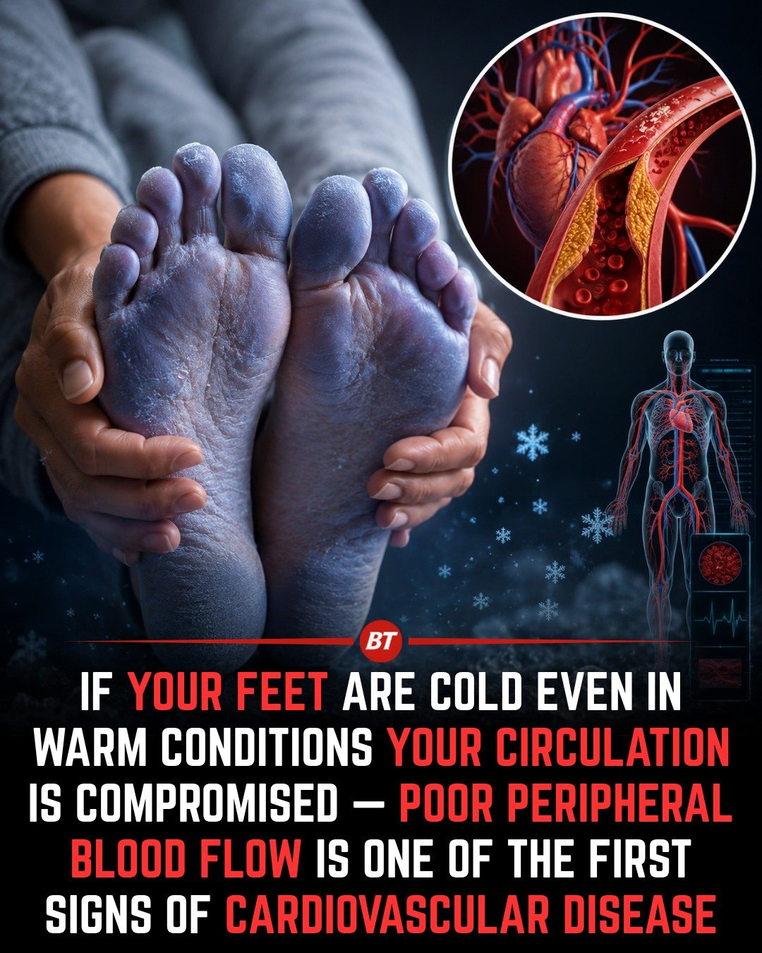Cold Feet in Warm Weather: A Sign of Potential Circulation Issues