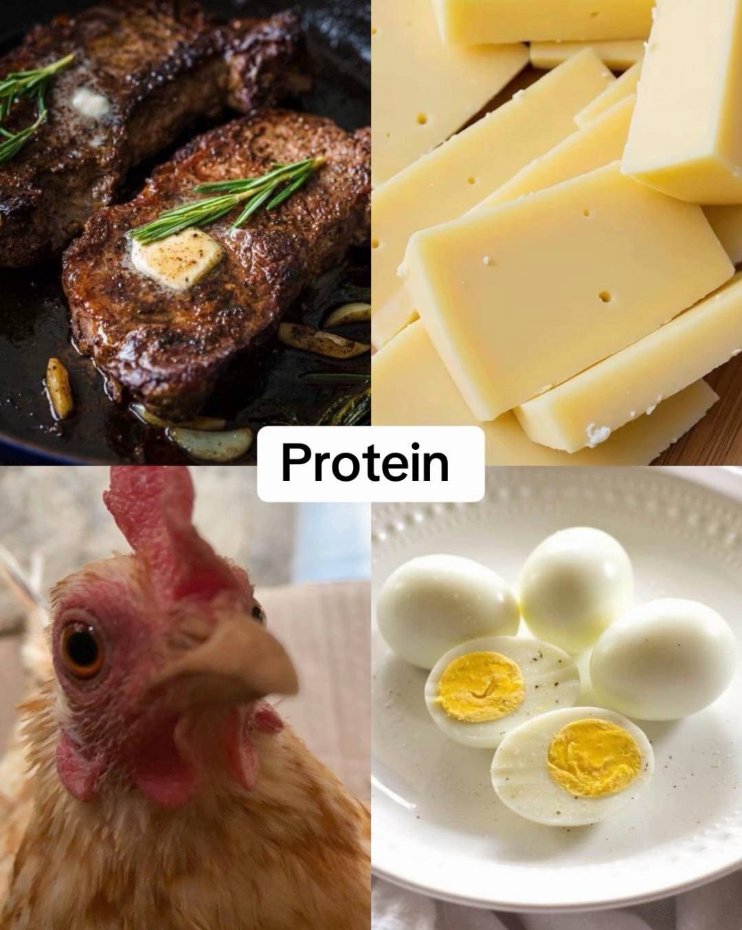 Fitness Nutrition: Key Foods for Protein, Energy, and Testosterone