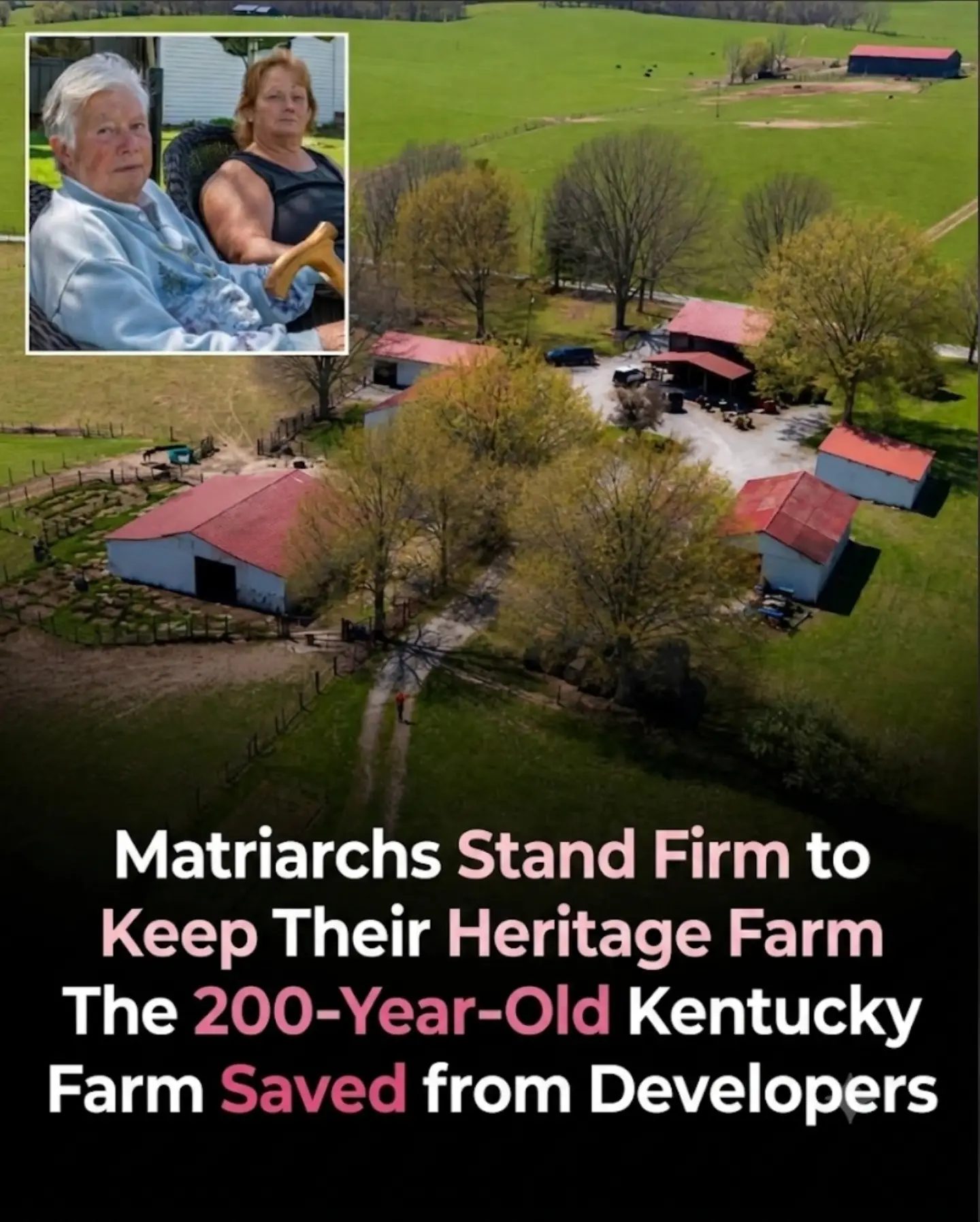 A 200 Year Old Family Farm's Battle Against AI Expansion