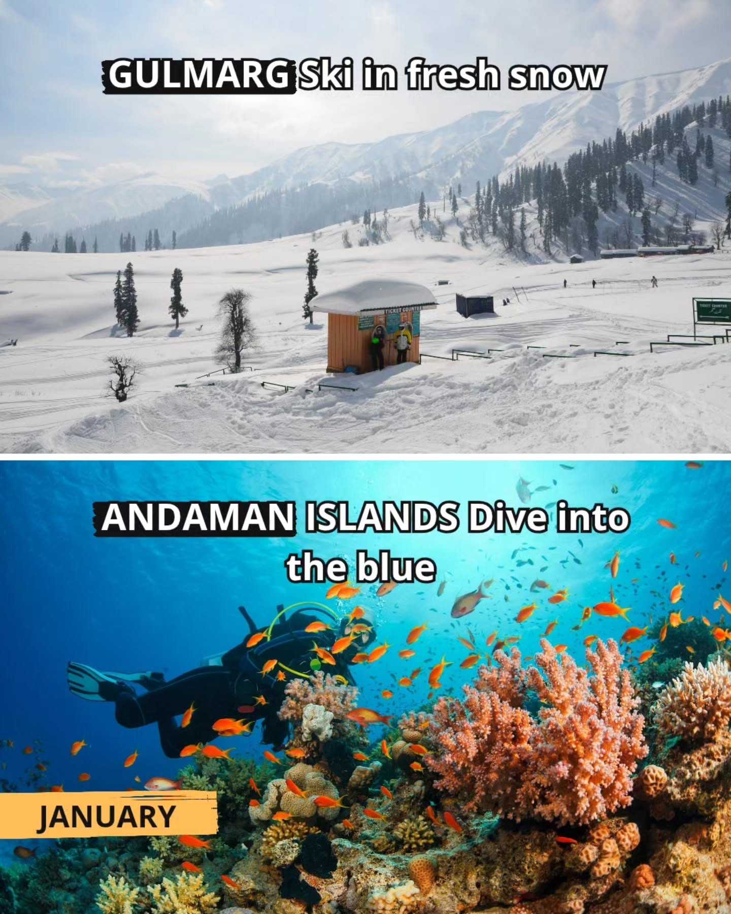 Explore India's Top Travel Destinations: Gulmarg, Andaman Islands & More
