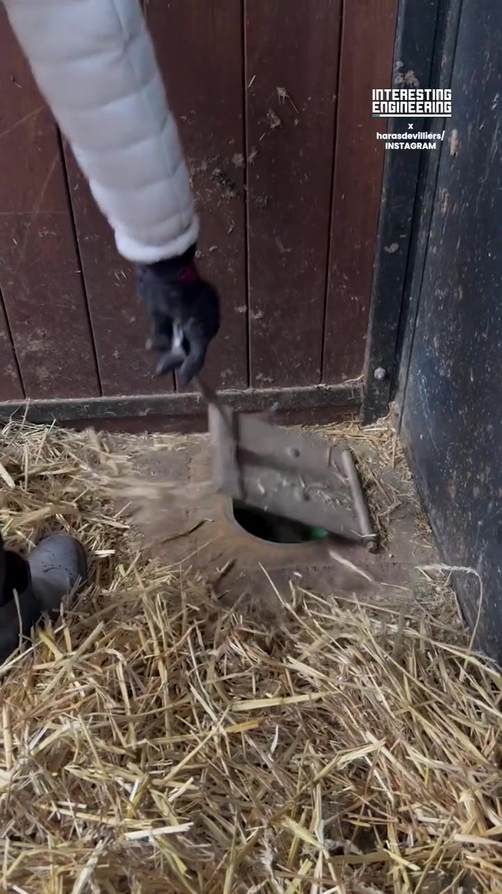 Automated Hay Feeder Improves Horse Care and Reduces Labor