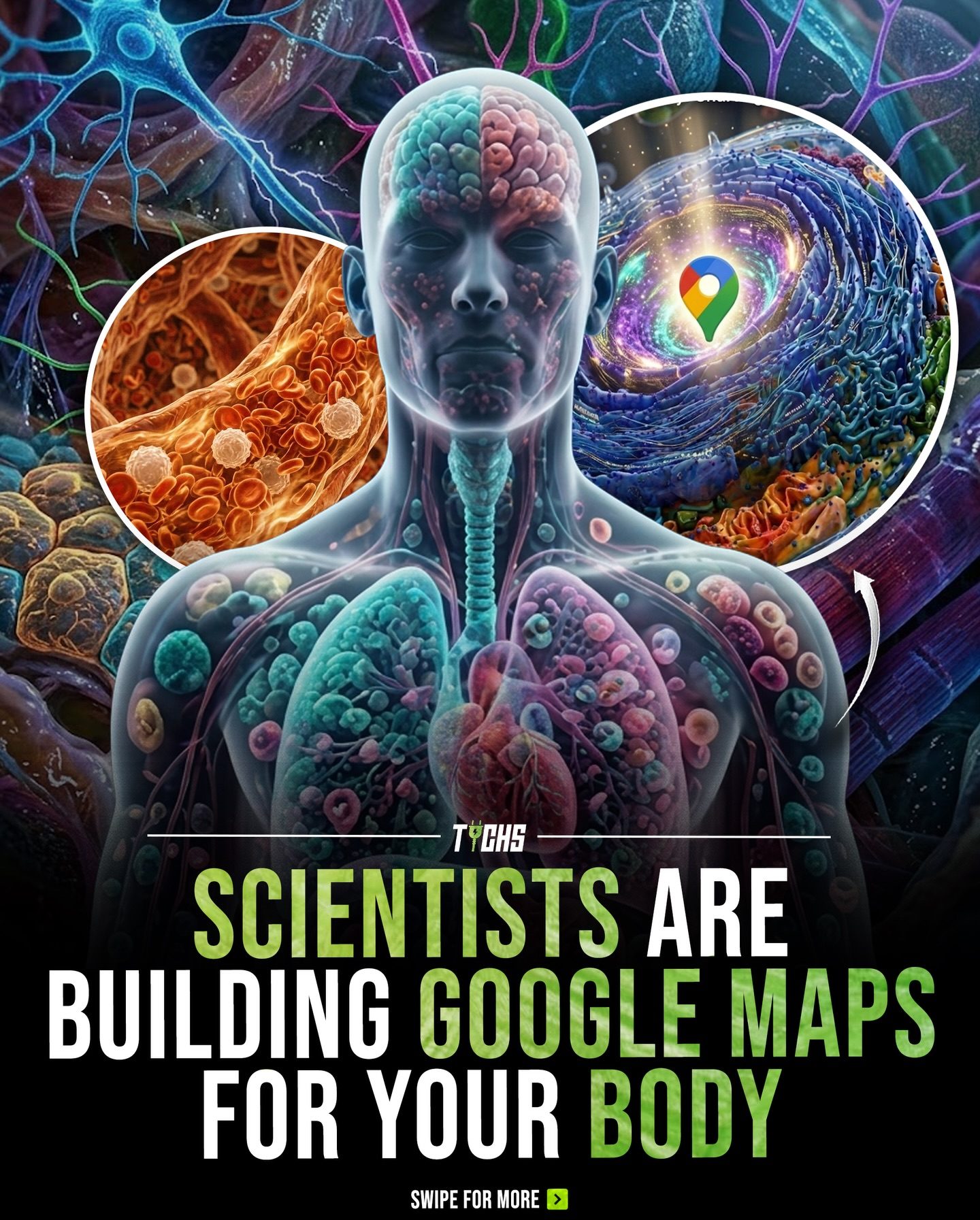 The Human Cell Atlas: Mapping 100 Million Cells for Future Medicine