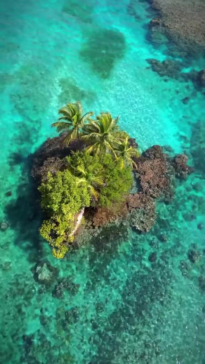 Tropical Island Paradise: Aerial Views and Marine Life