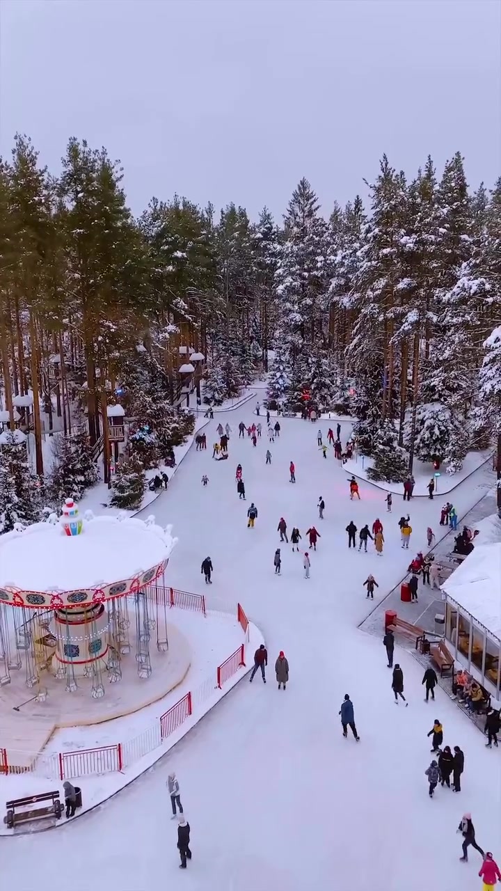 Winter Recreation Area: Skiing, Skating, and More
