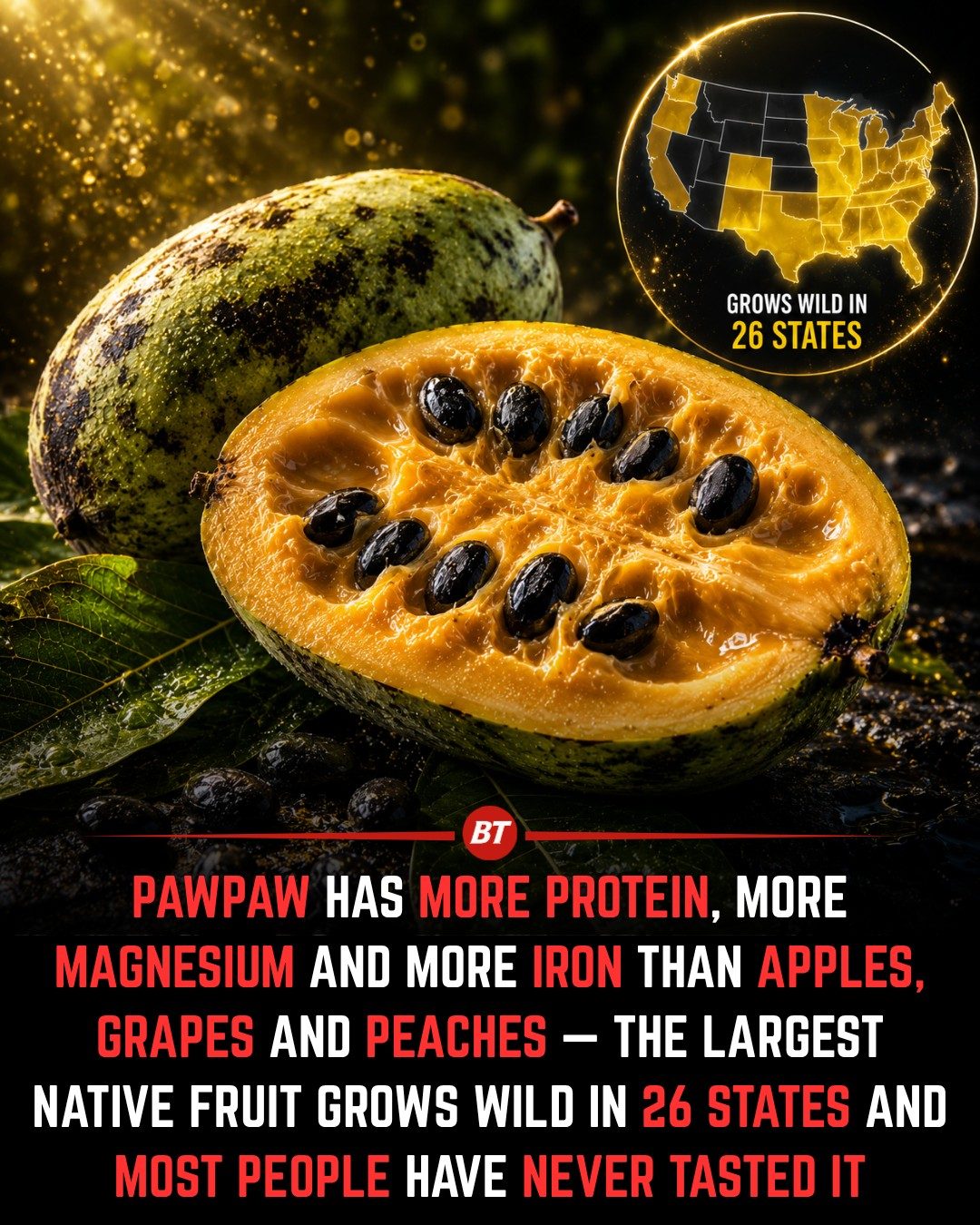 The Nutritional Power of Pawpaw: North America's Largest Native Fruit