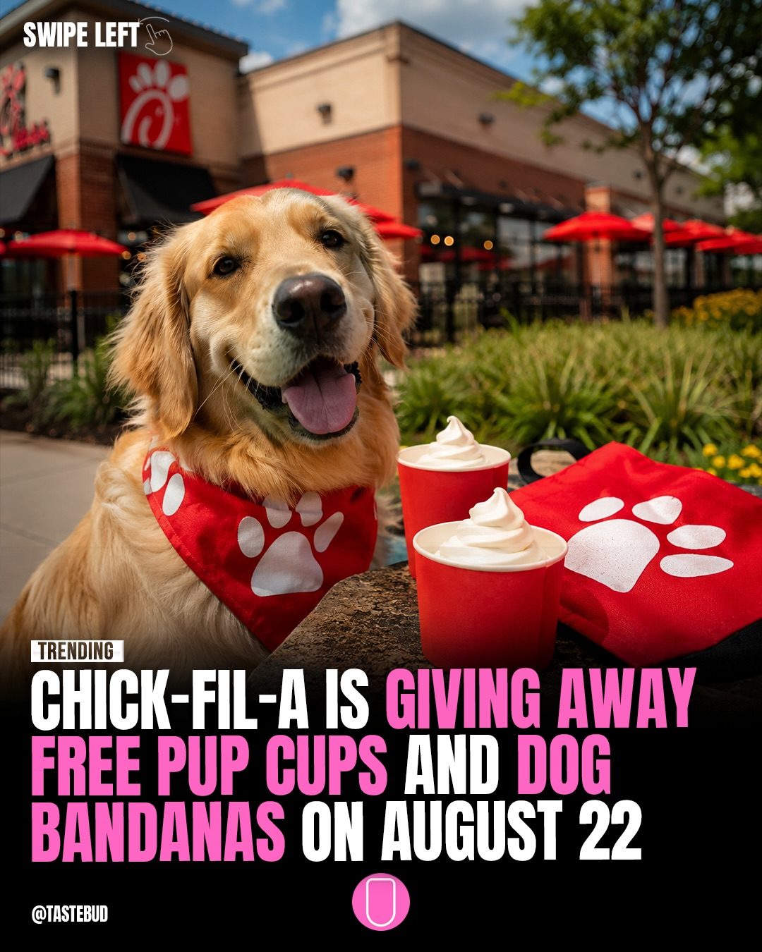 Chick-fil-A's Free Pup Cups & Bandanas: August 22 Drive-Thru Event