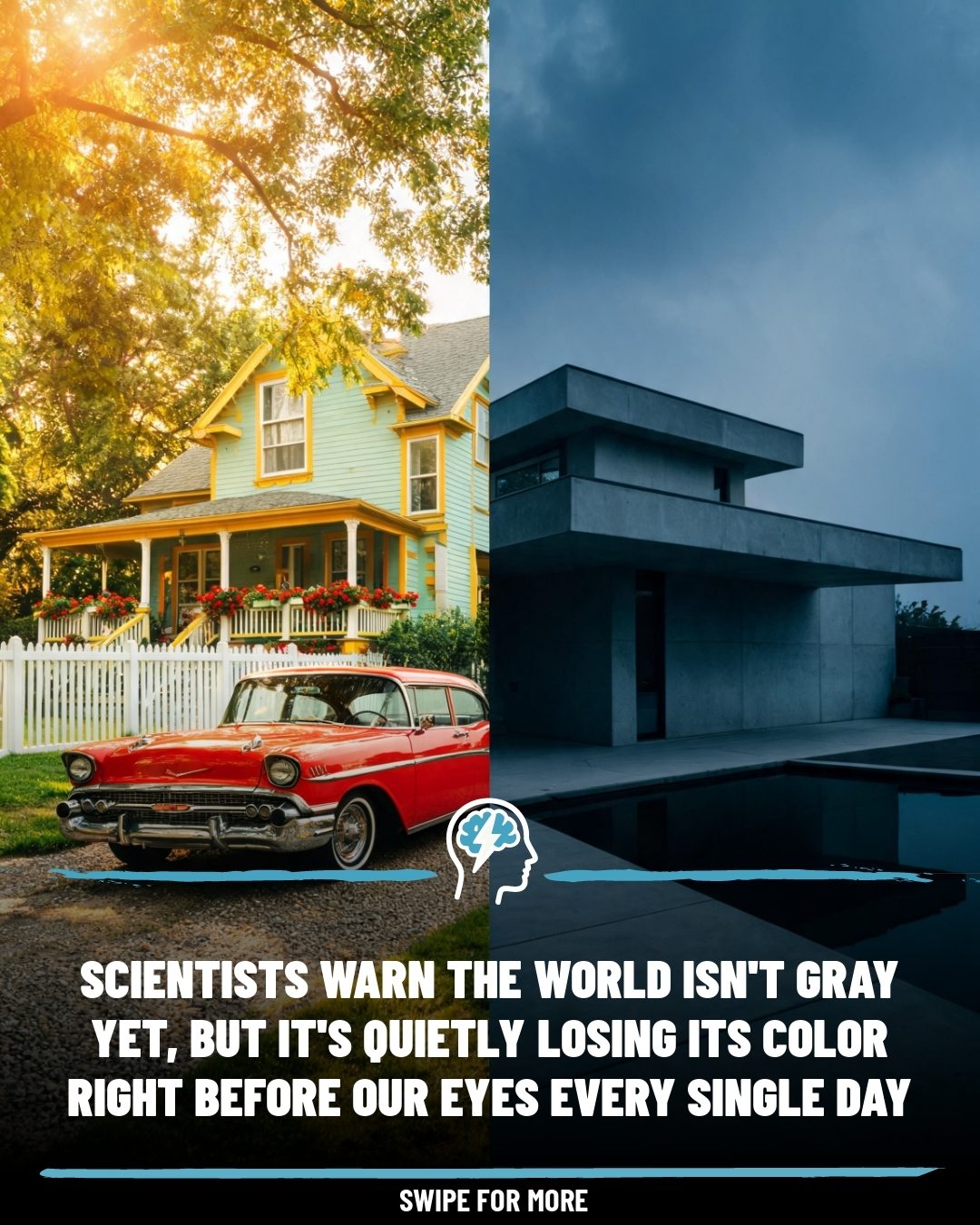 The Global Shift to Monochrome: Why Our World is Losing Color