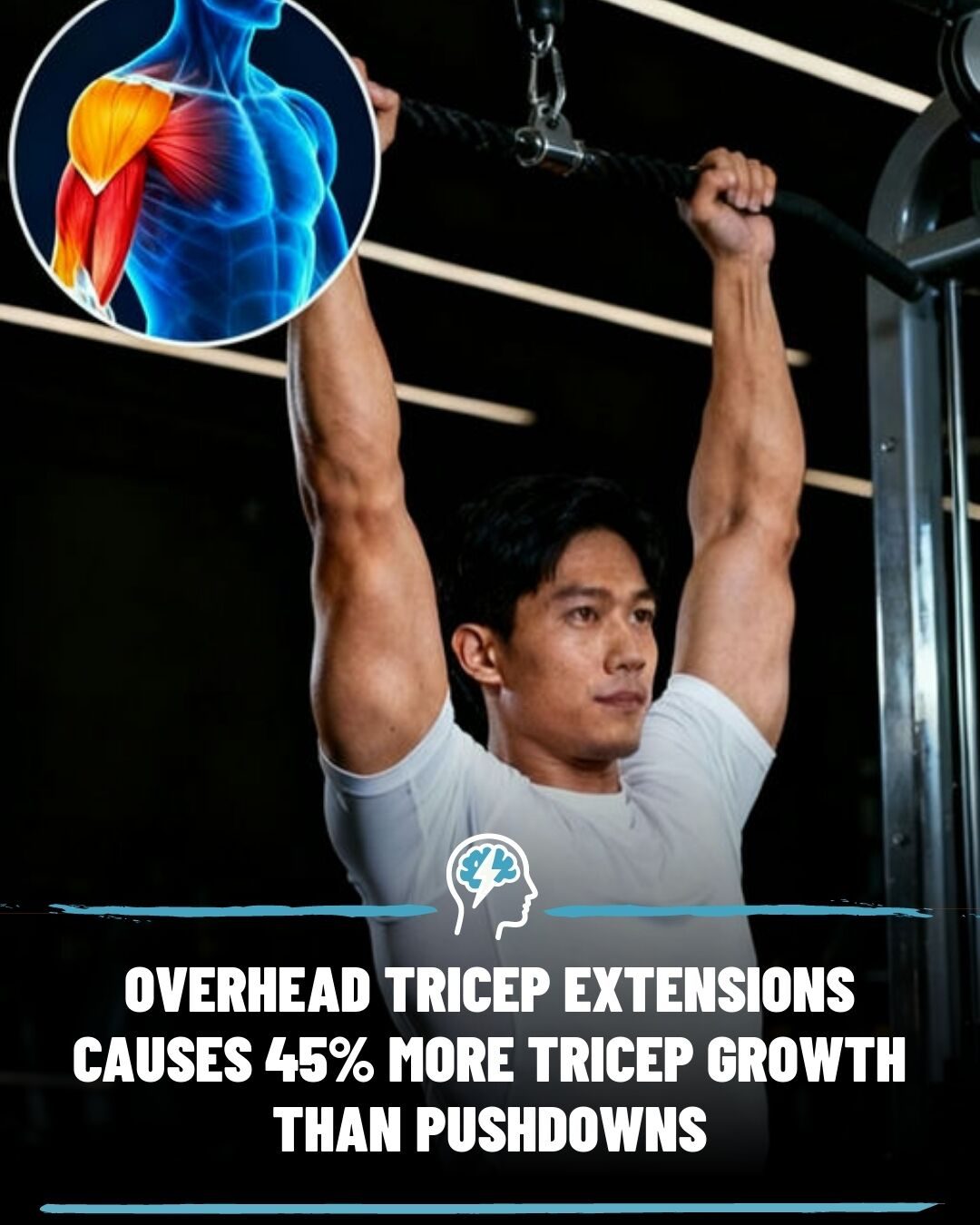 Overhead Tricep Extensions: Boosting Growth with Arm Position
