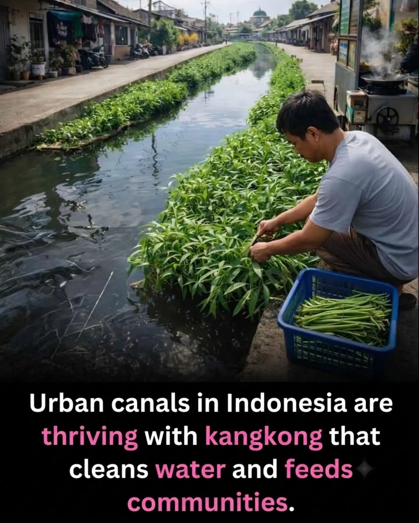 Urban Canal Farming: Indonesia's Eco-Friendly Food Revolution