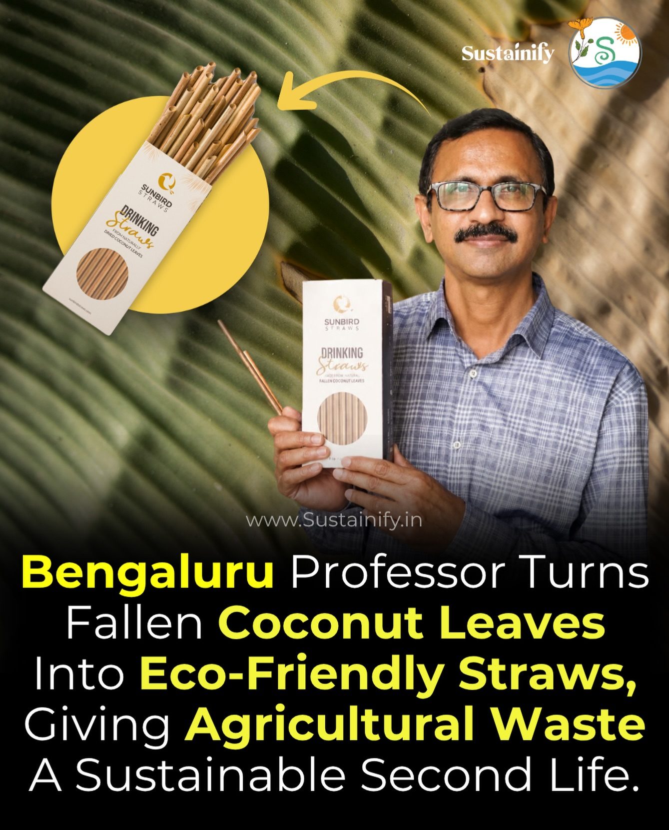Sunbird Straws: Turning Coconut Waste into Green Solutions