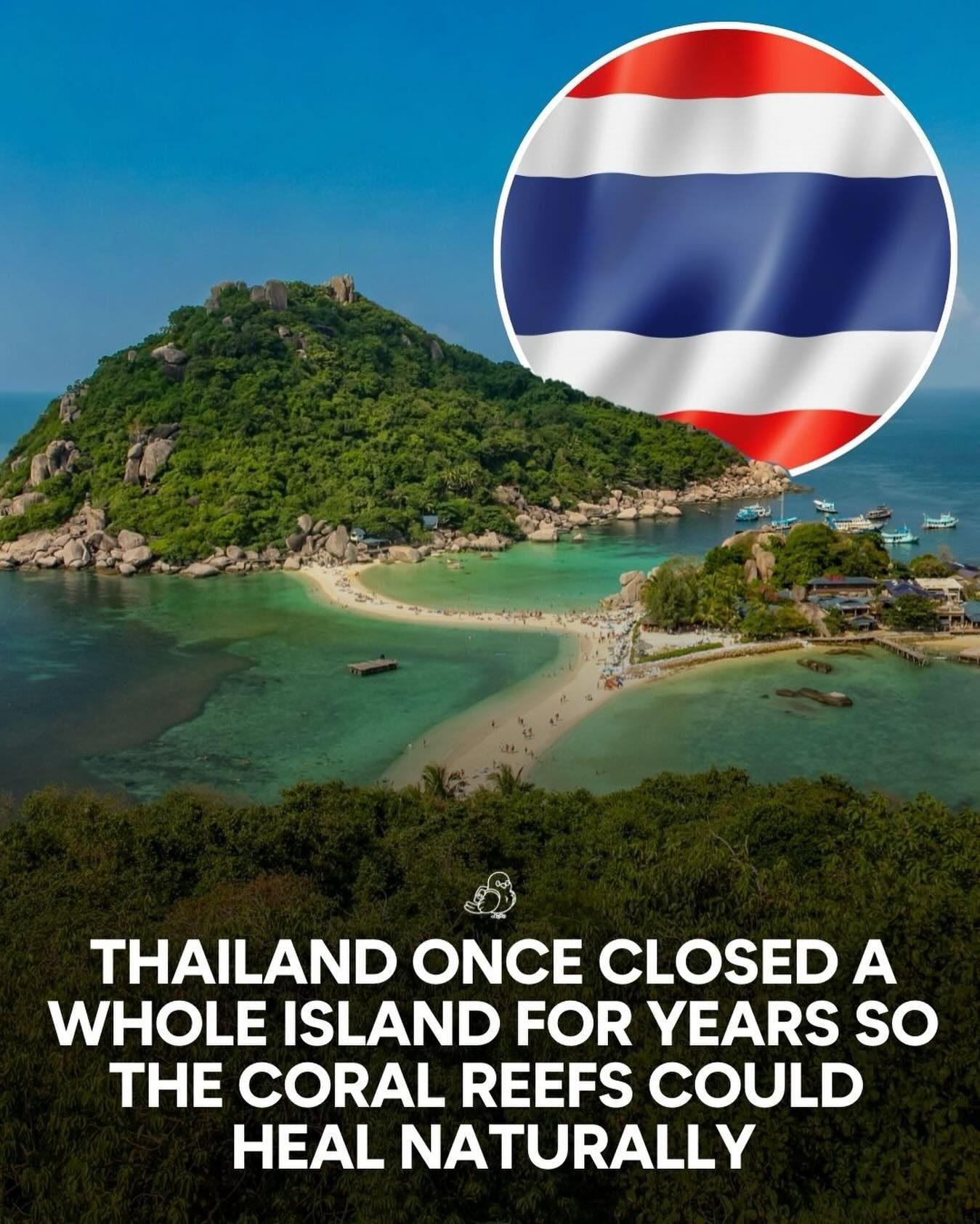 Maya Bay's Coral Reefs Recovery: Thailand’s Success Story