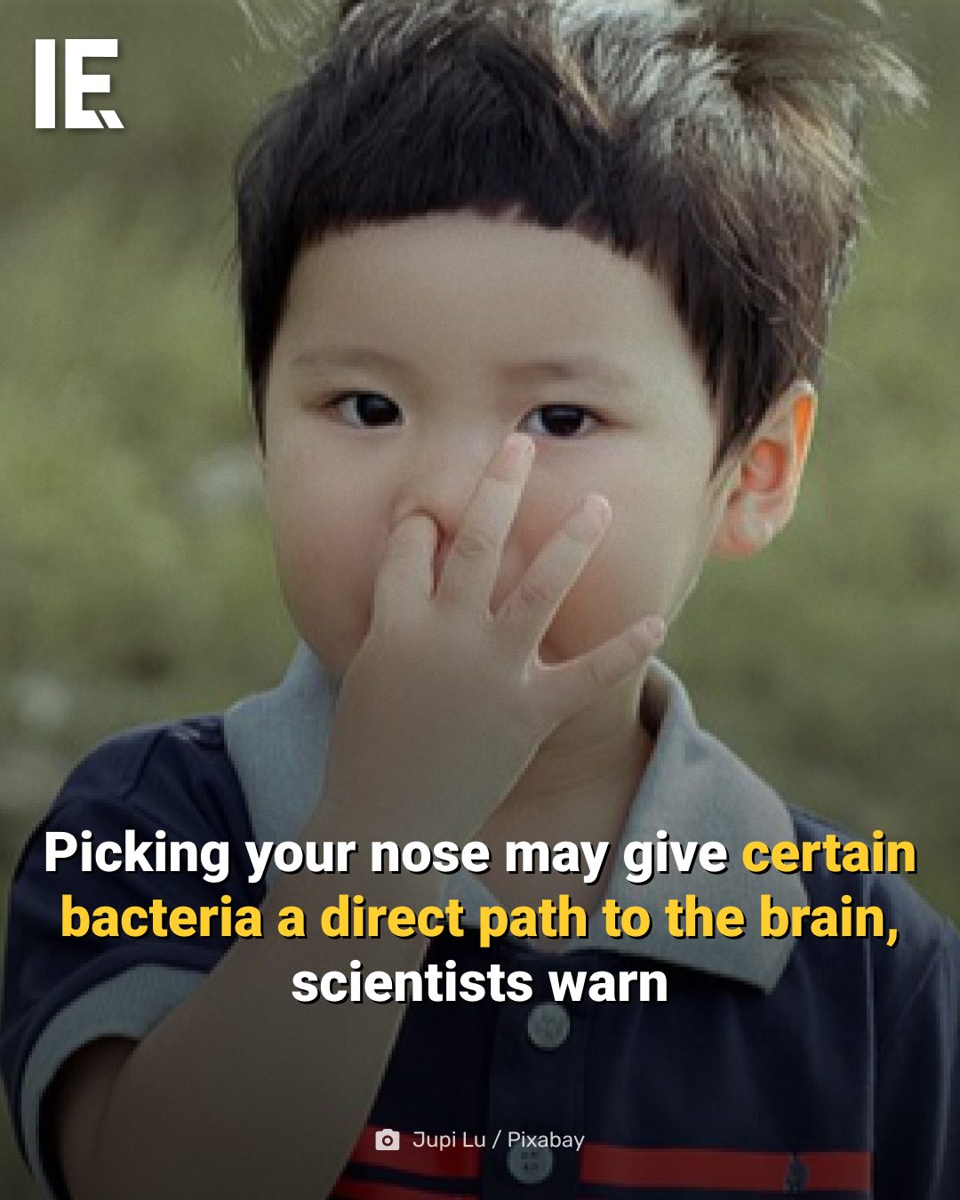 Nose Picking: The Surprising Brain Health Risk