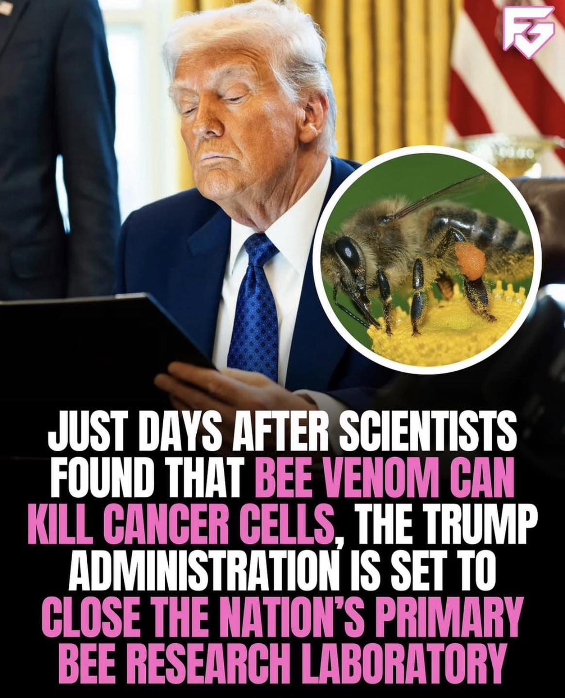 Trump Administration Closes Key Bee Lab Amid Cancer Research Breakthrough