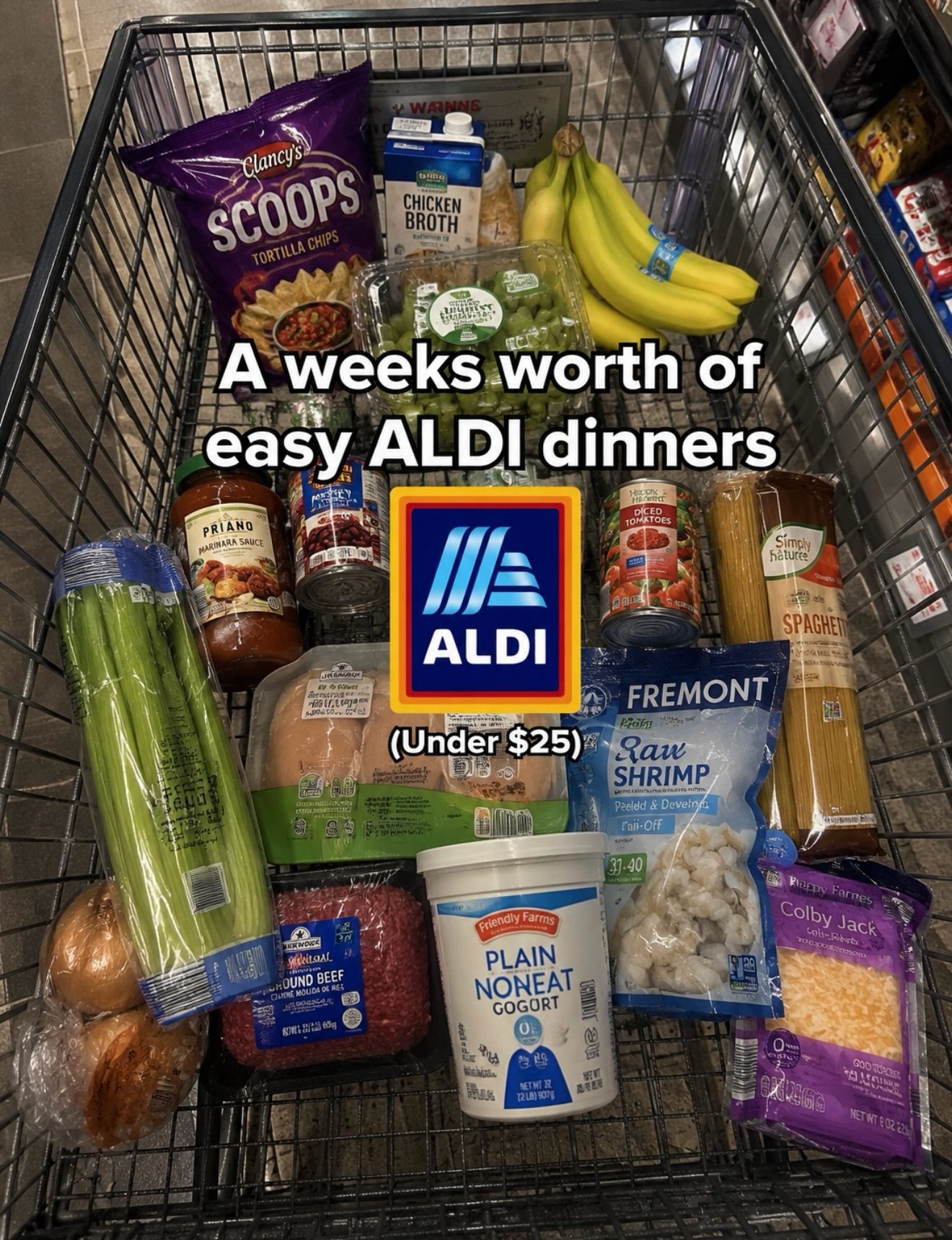 Carnitas Quesadillas Recipe: Tasty ALDI Meals Under $25