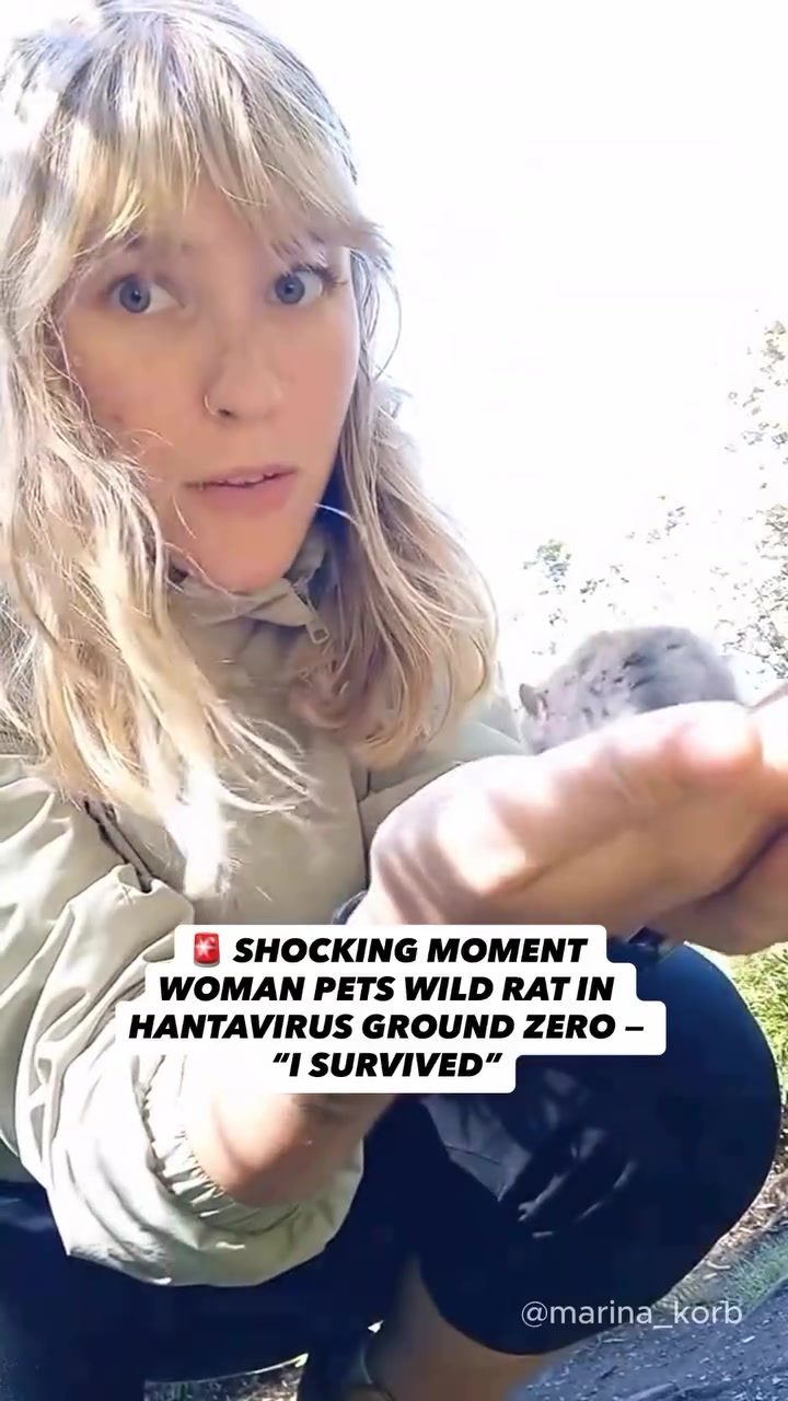 Wild Rat Encounter in Hantavirus Zone Sparks Outrage