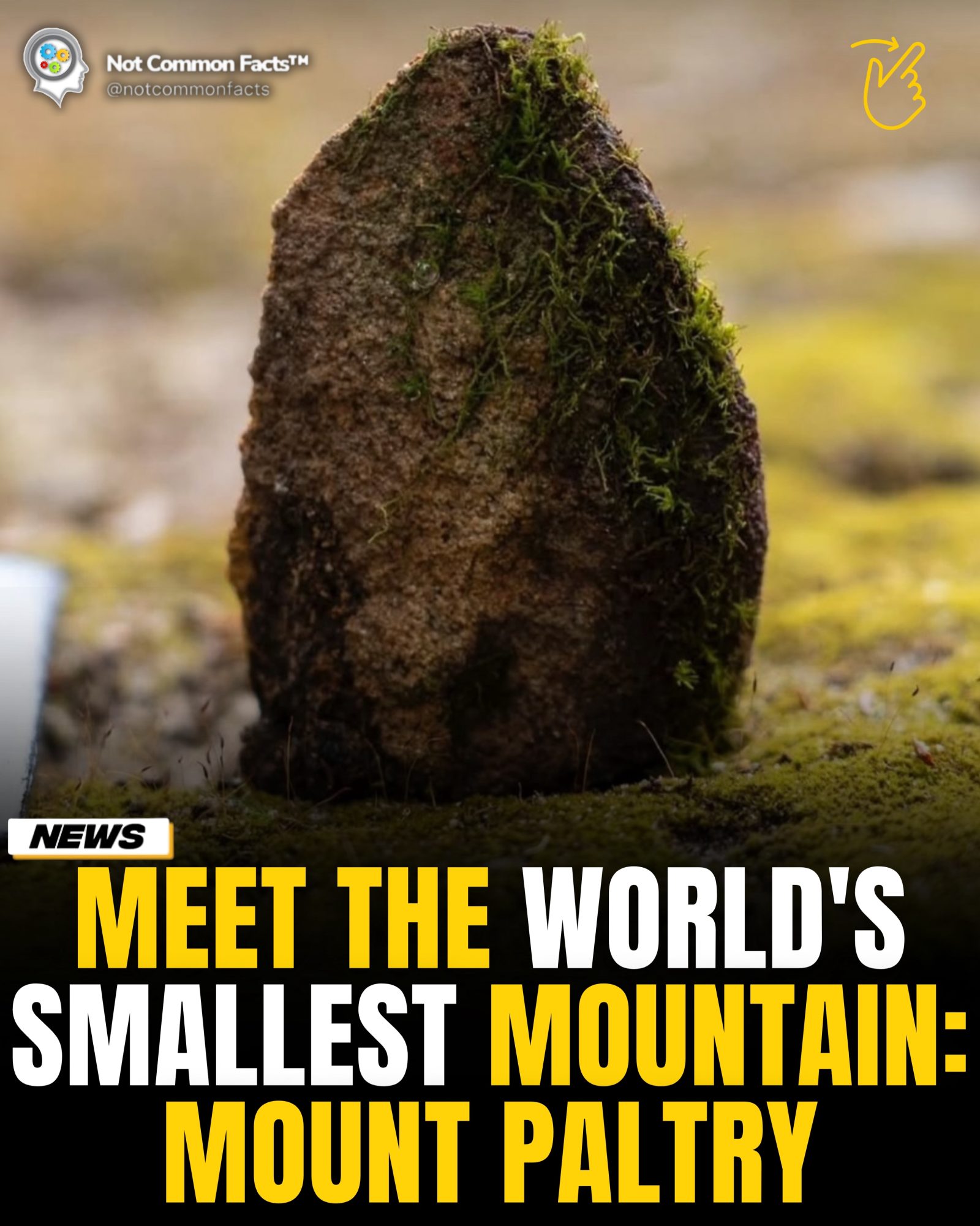 Mount Paltry: Discovering the World's Smallest Mountain