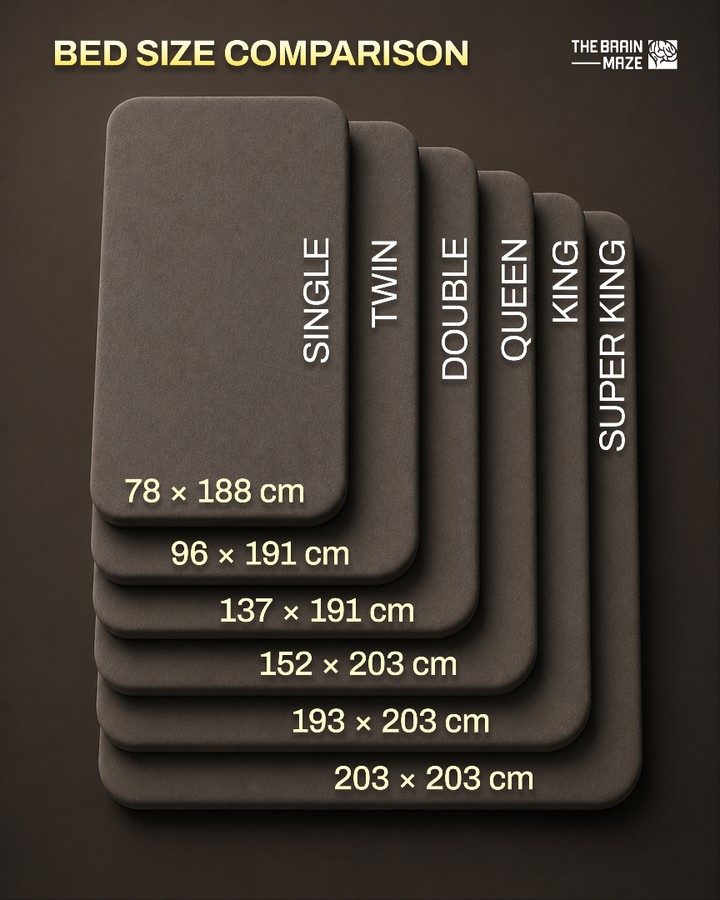 Guide to 7 Standard Bed Sizes for Perfect Sleep