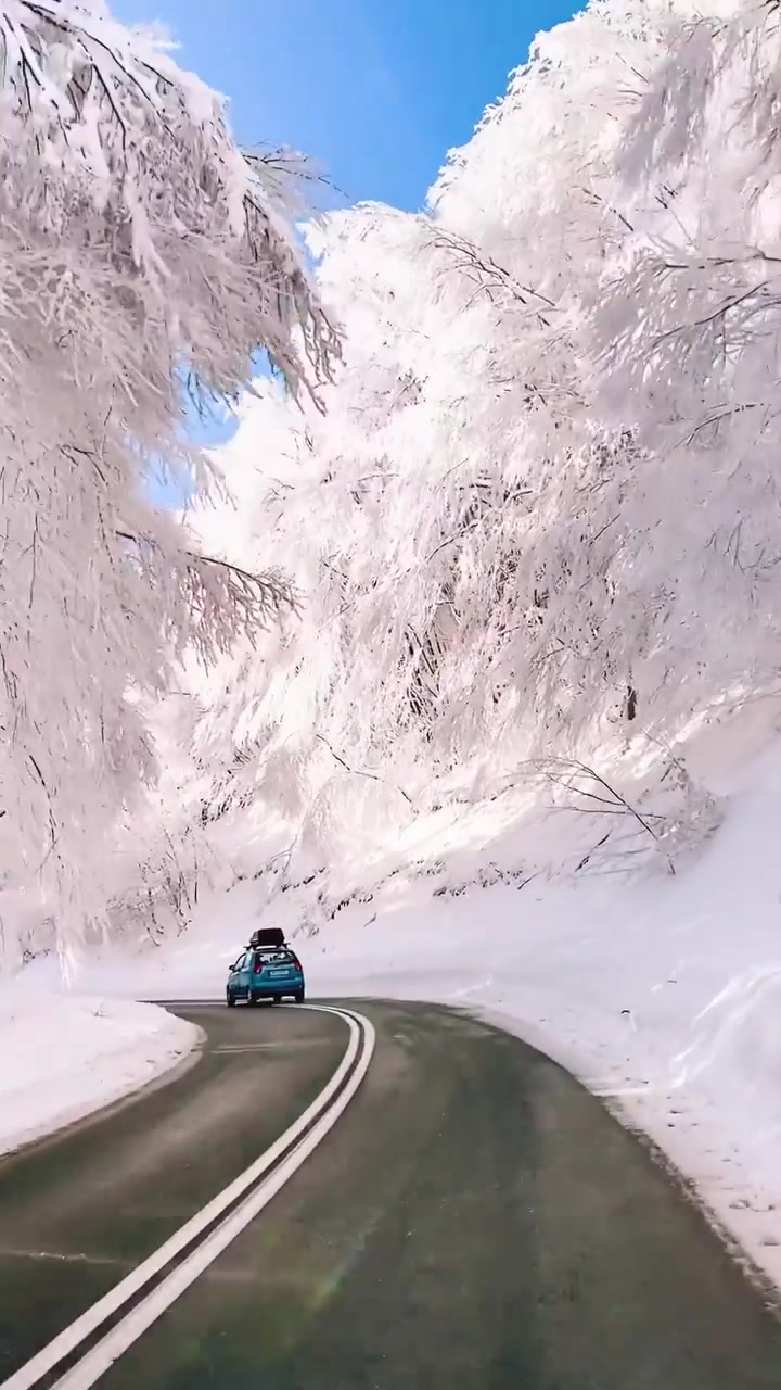 Winter Drive Through Snowy Mt.