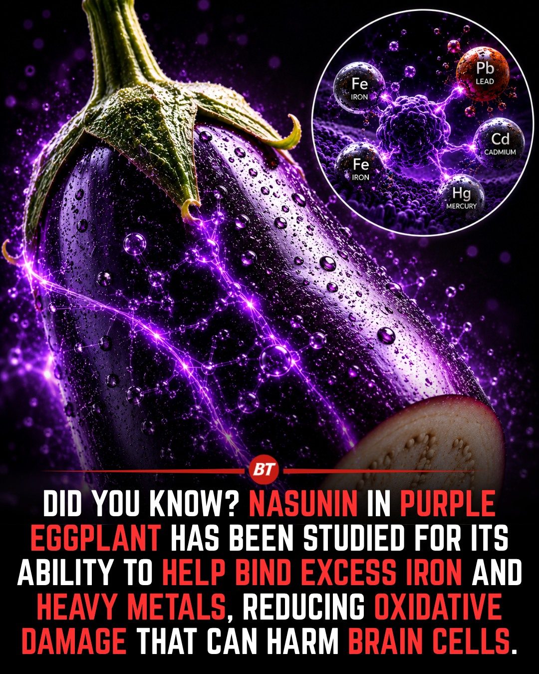 Eggplant's Nasunin: Protecting Brain Cells from Heavy Metals