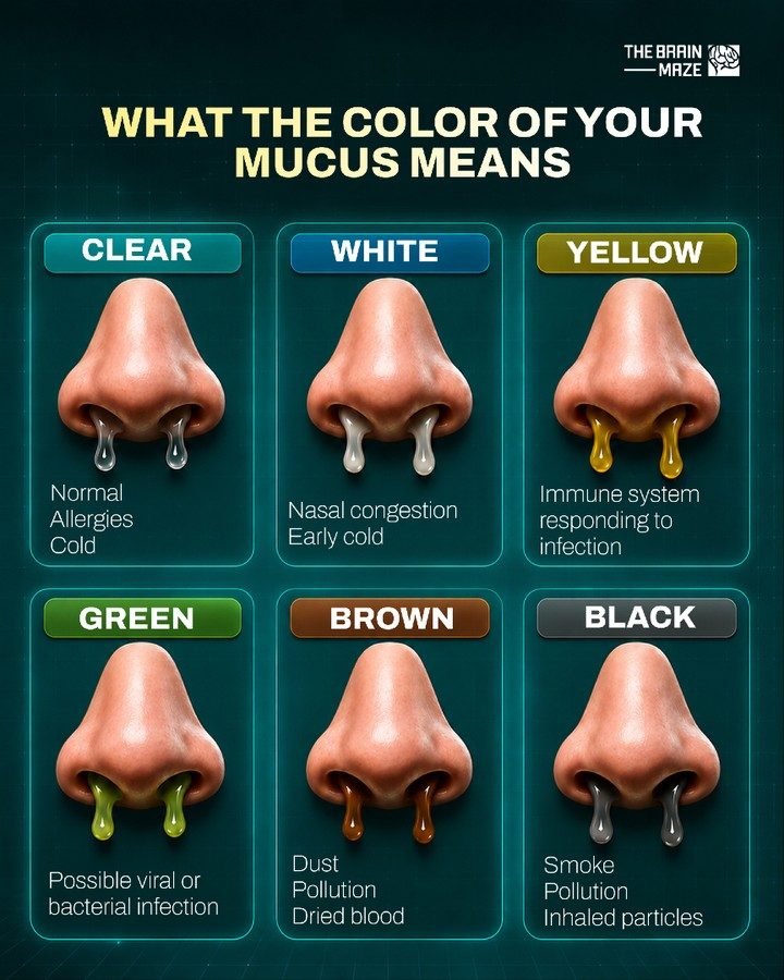Learn What Your Mucus Color Means