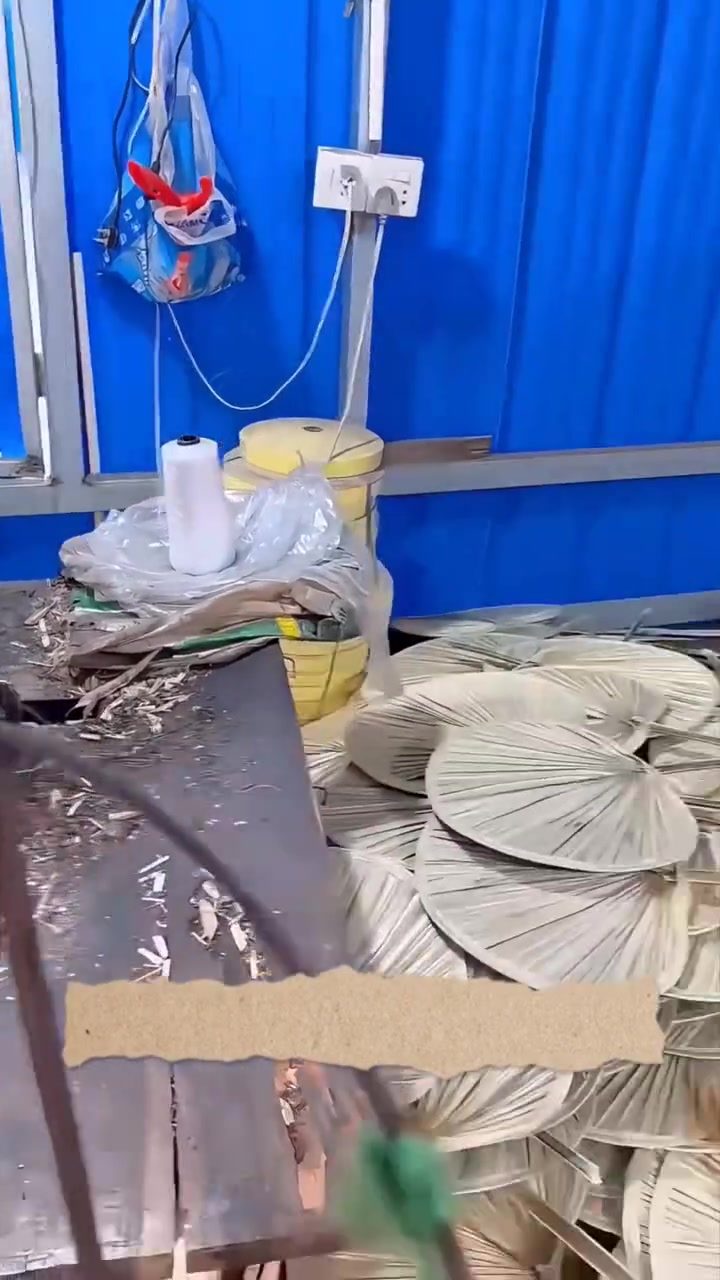 Palm Leaf Crafting: Ancient Cooling Tool with Modern Uses