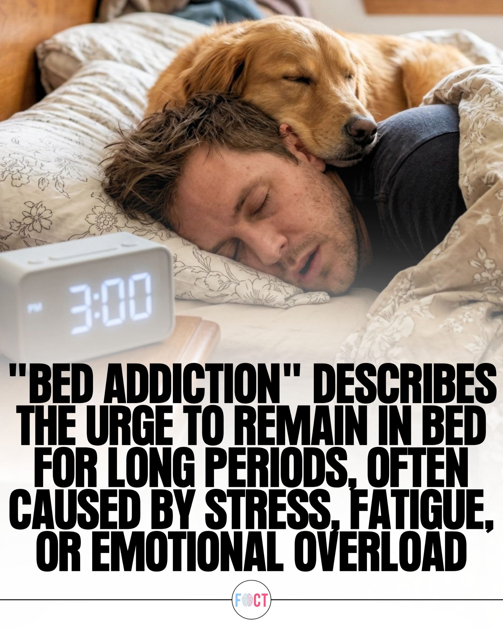 Understanding Bed Addiction: Causes and Effects