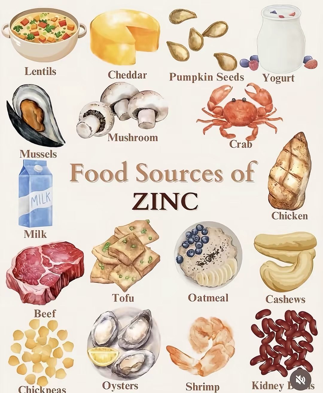 Eight Key Foods to Balance Your Zinc, Potassium, & Cortisol