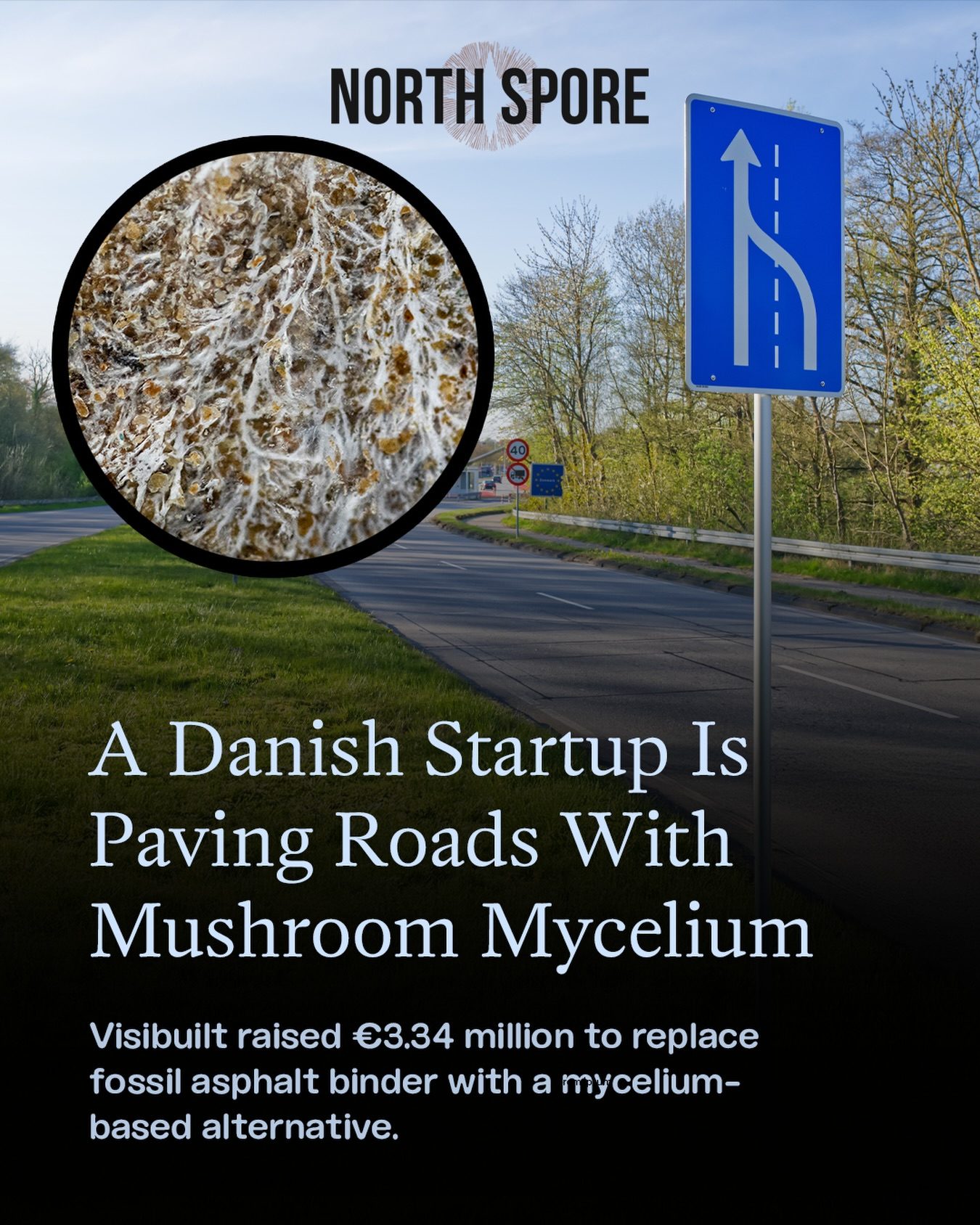 Visibuild's Mushroom Mycelium Roads: Sustainable Paving Innovation