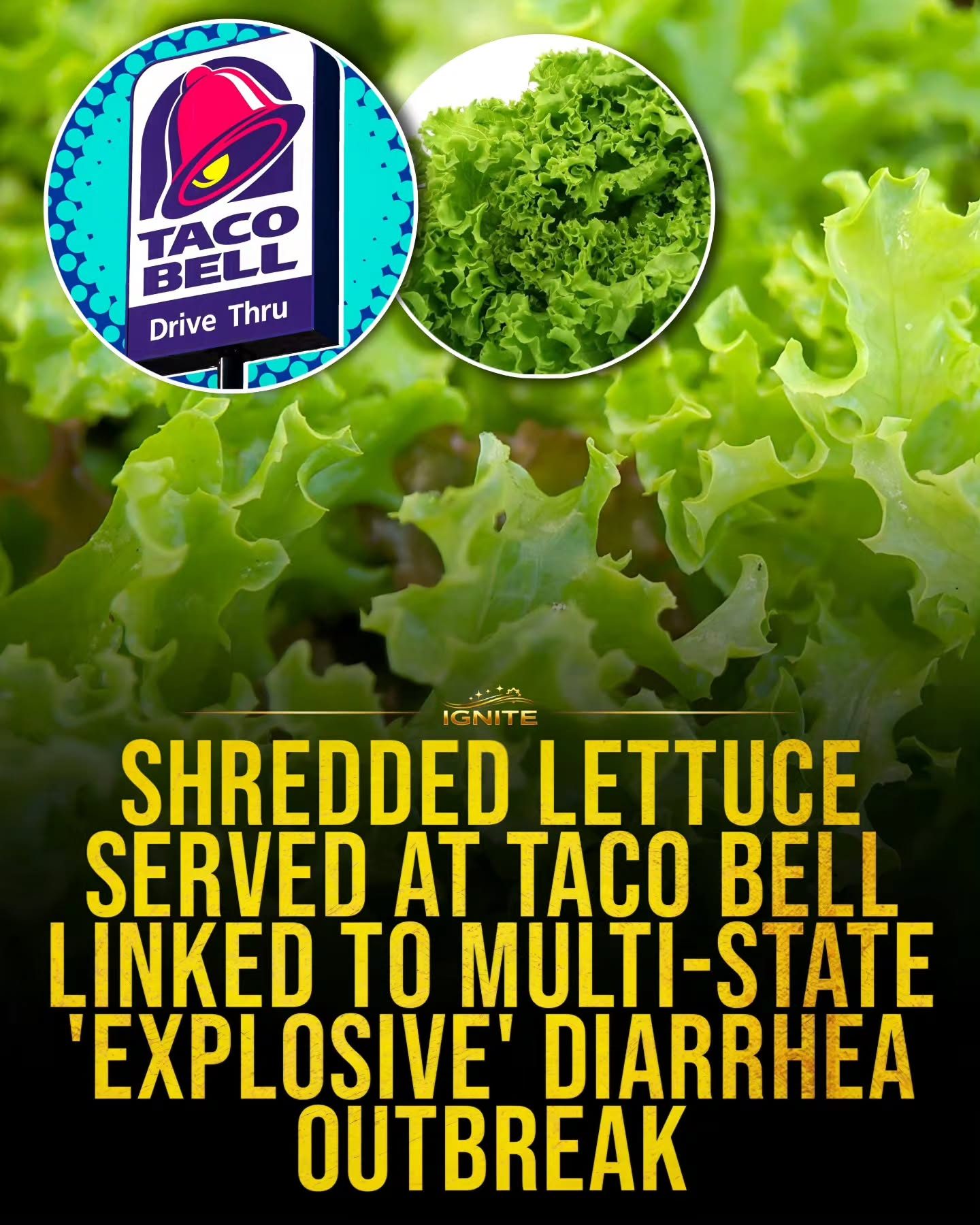 **Taco Bell Lettuce Warning: Multi-State Diarrhea Outbreak**

This title captures the key elements of the topic: the brand (Taco Bell), the product (lettuce), and the public health concern (multi-state diarrhea outbreak) without directly copying the transcript, caption, OCR or comments. It is clear, informative and within the ideal character count.