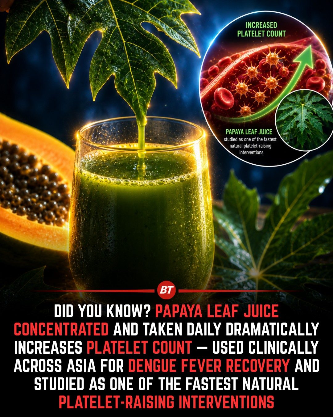 Papaya Leaf Juice: Boosting Platelet Count Naturally