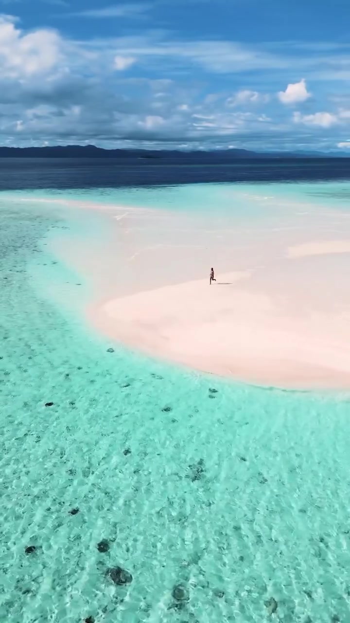 Tropical Beach Walk: Aerial View