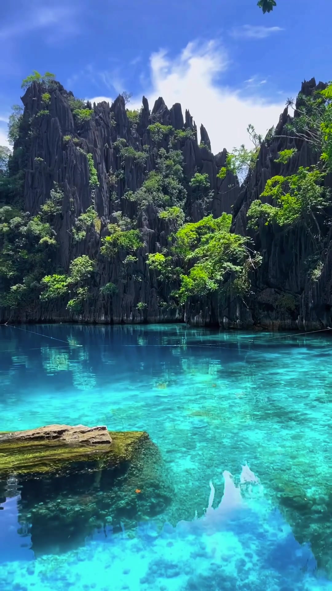 Turquoise Lake's Scenic Landscape With Limestone Cliffs
