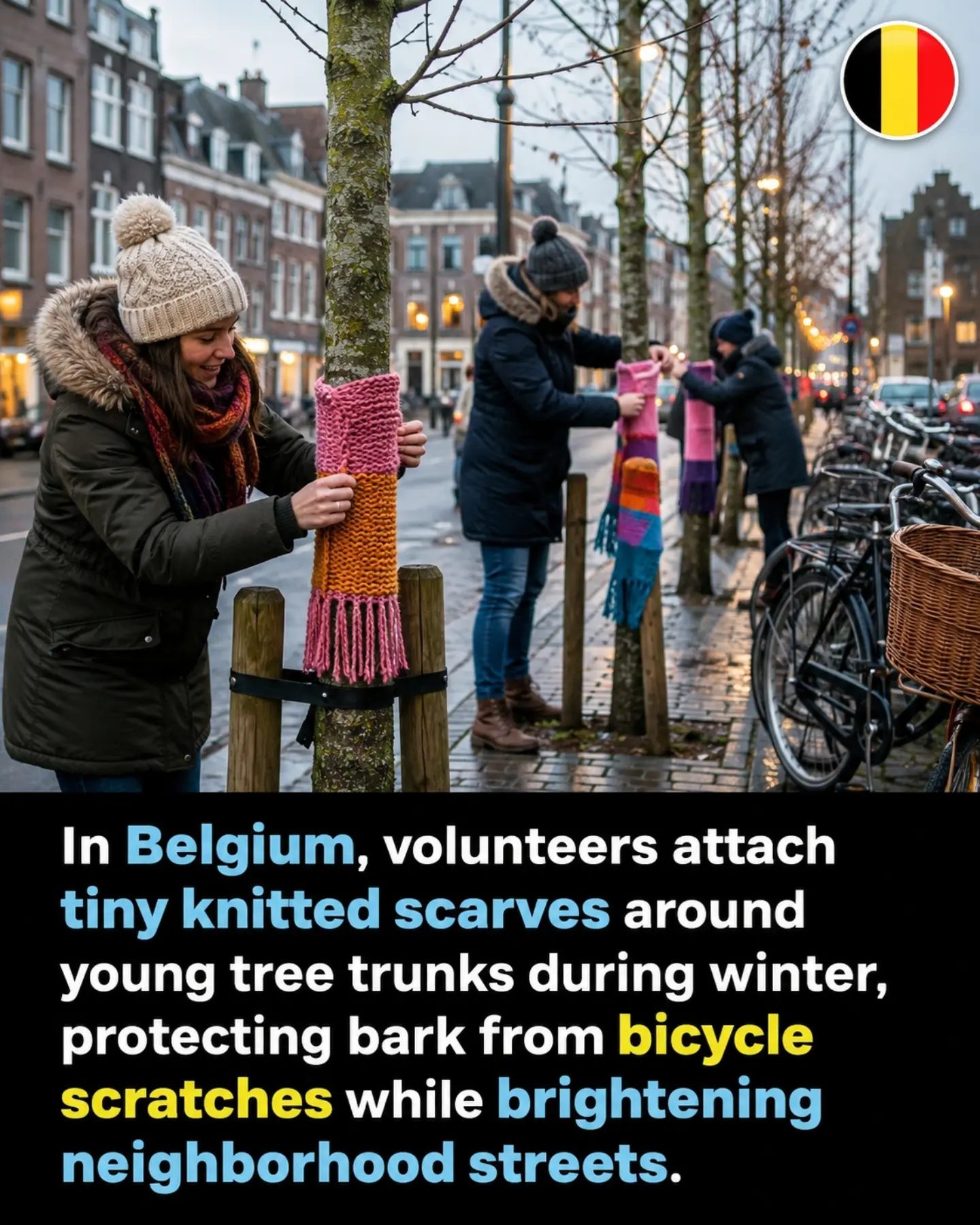 Warmth and Protection: Belgium's Knitted Scarves for Trees
