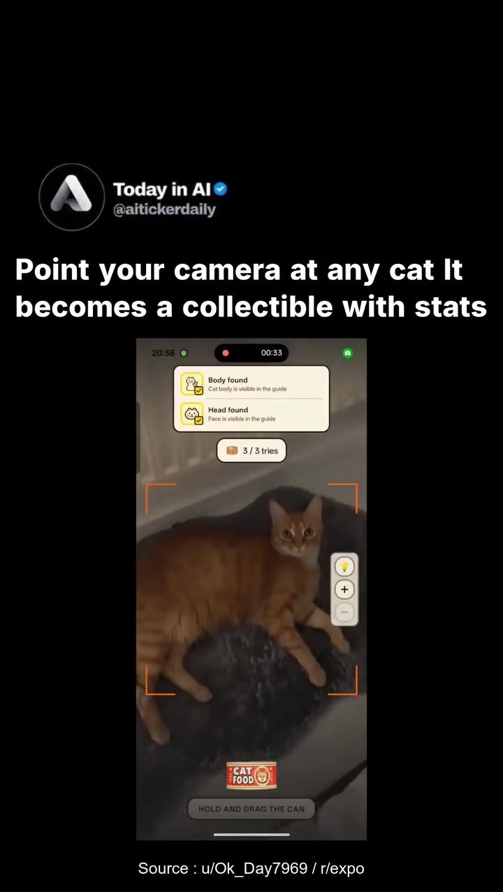 How AR Turns Real Cats into Collectibles in this New Mobile Game